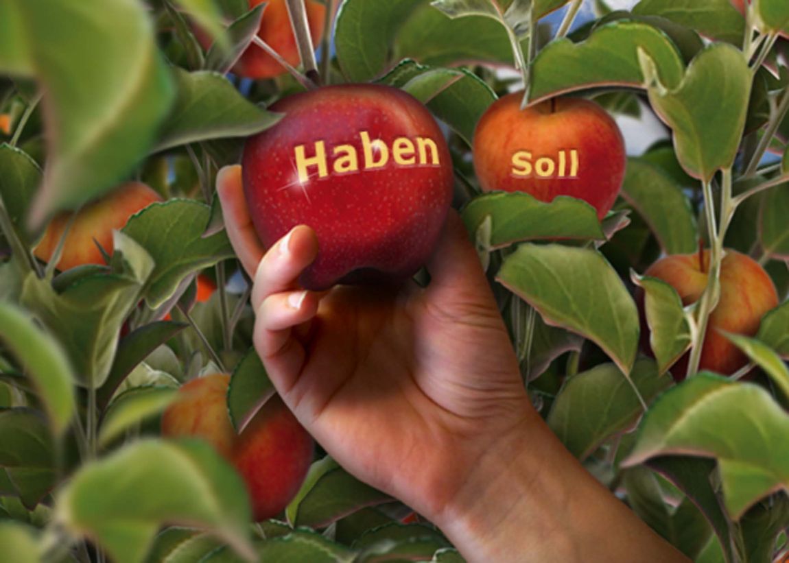 Äpfel mit Haben-Soll Schrift