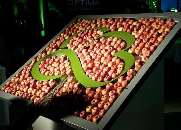 Äpfel im Logo von OPTIMA - Die Steuerberater GmbH